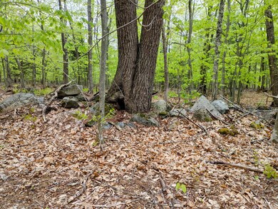 20210511_142114_HDR~2