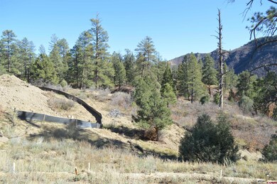 109 Wild Chives Ct, Durango, CO 81301 - photo 5