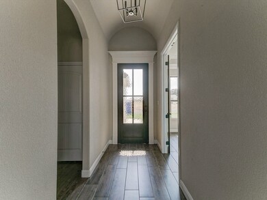 3203 Promenade Dr, Granbury, TX 76048 - photo 4