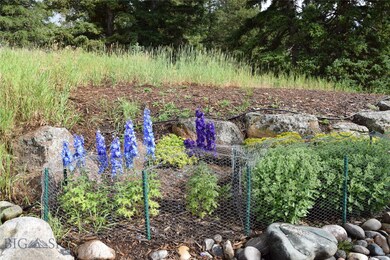Landscaping and garden area