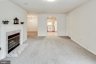 2 Tyler Falls Ct unit L, Baltimore, MD 21209 - photo 7