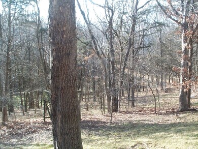 Deep Wooded Lot