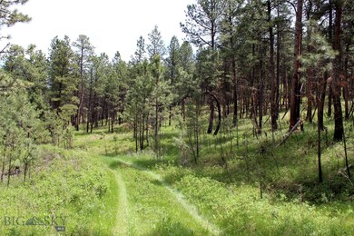 15 Bobcat Ln unit 15, Roundup, MT 59072 - photo 6