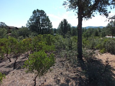 Level Topography
