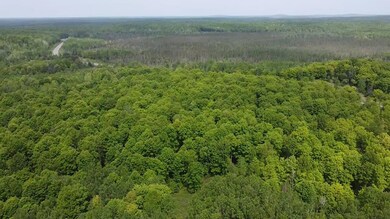 0 State Road 70 unit 50304991, Long Lake, WI 54542 - photo 6