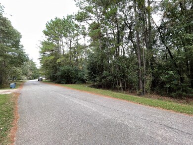 29714 Sweetwater St, Magnolia, TX 77354 - photo 5