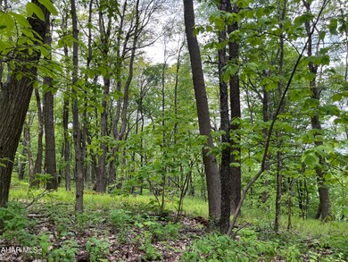 00 Ridge Run Rd unit Lot 167, Claysburg, PA 16625 - photo 5