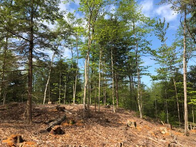 TM12 L29 Blanchard Cross Rd, Bowdoin, ME 04287 - photo 7