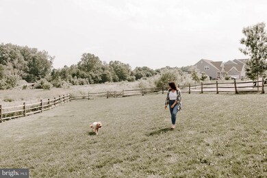 1604 Corn Crib Place, Frederick, MD 21702 - photo 5