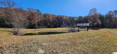 352 Kudzu Rd, Oneonta, AL 35121 - photo 2