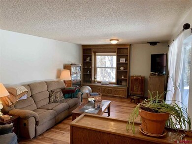 22 Elm Ct, Durango, CO 81301 - photo 5