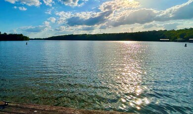 0 Eufaula Hwy, Fort Gaines, GA 39851 - photo 6