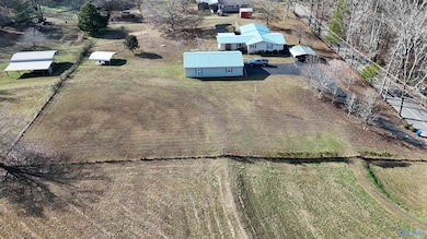 145 Lynns Dam Rd, Union Grove, AL 35175 - photo 4