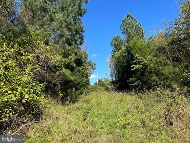 0 Twymans Mill Rd unit VAMA2001908, Madison, VA 22719 - photo 7