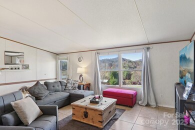 99 Colton Dr, Leicester, NC 28748 - photo 5