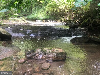 0 Corner Rt 259 & Hunkerson Gap Rd unit WVHD2000974, Mathias, WV 26812 - photo 3