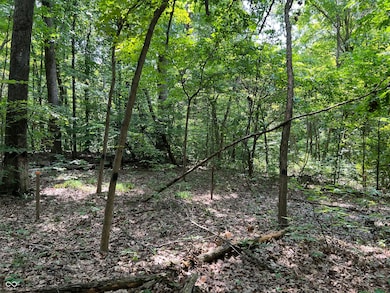 3501 S Swartz Ridge Rd, Bloomington, IN 47401 - photo 4