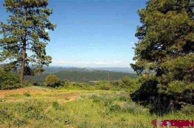 13450 U S 160, Durango, CO 81301 - photo 6