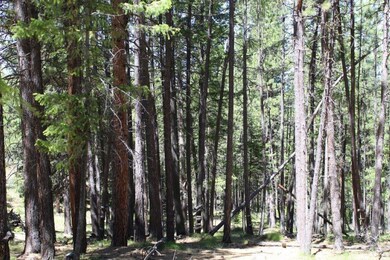 62390 Haggard Loop, John Day, OR 97845 - photo 6