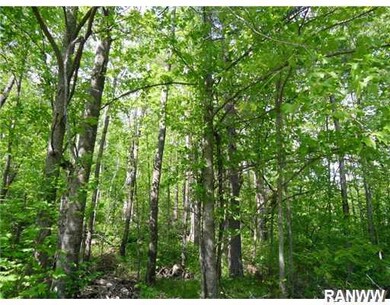 Lot 15 Fremsted Rd, Oakland Township, WI 54830 - photo 5