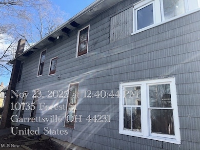 10729 Forest St, Garrettsville, OH 44231 - photo 5