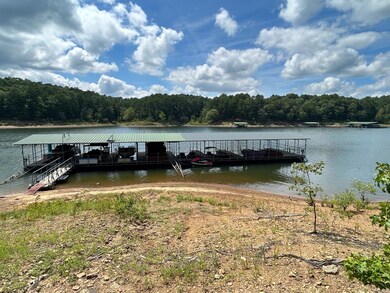 0 View Dr unit 21032527, Red River Township, AR 72153 - photo 3