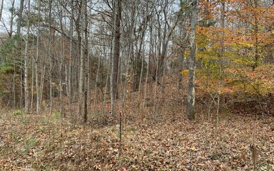 Additional View