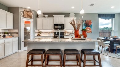 1609 Native Dancer Dr, Granbury, TX 76049 - photo 3