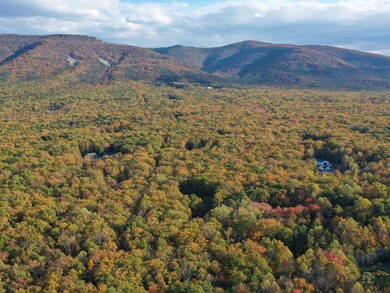 127 Kaolin Spring Ln, Greenville, VA 24440 - photo 3