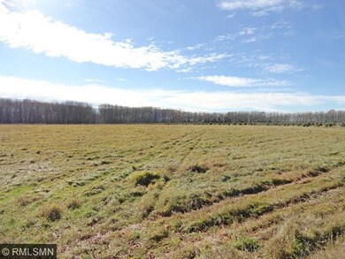 field view 2
