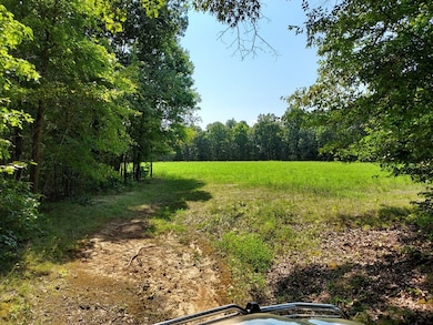 0 Sulphur Creek Rd unit RTC3041581, Big Sandy, TN 38221 - photo 7