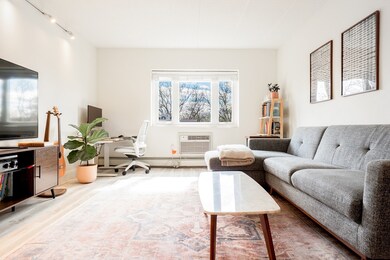 278 Beacon St unit 36, Somerville, MA 02143 - photo 3