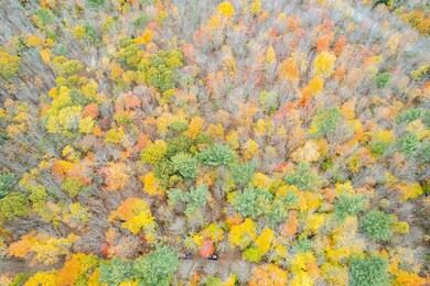 DJI_0116