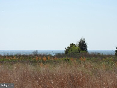 817 Kim Dr, Cambridge, MD 21613 - photo 2