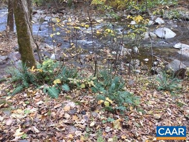 TBD Crabtree Falls Hwy unit 11, Tyro, VA 22976 - photo 4