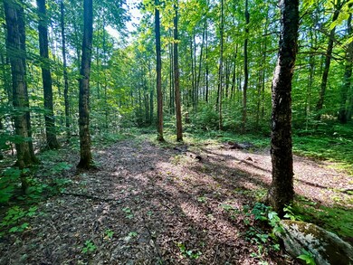 Second driveway