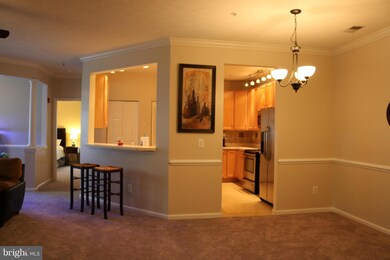 2507 Amber Orchard Ct W unit 101, Odenton, MD 21113 - photo 5