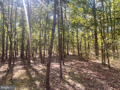 0 4th Ave, Hamilton, NJ 08330 - photo 5