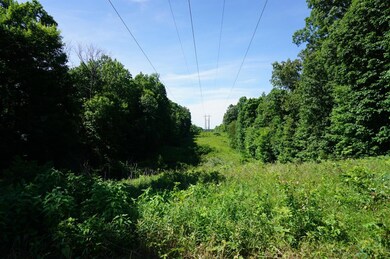 Electric line Easement on the property.