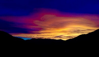 IMG_3782