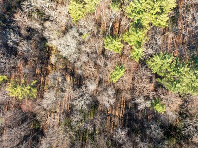 DJI_20241208135152_0012_D