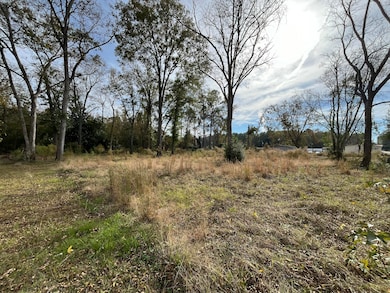 153 Tyler Rd, Orangeburg, SC 29115 - photo 6