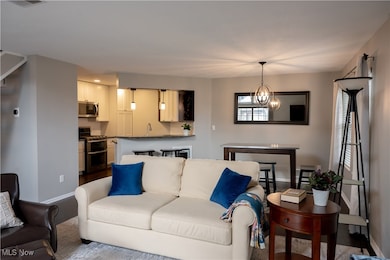 4052 Saint Andrews Ct unit 3, Canfield, OH 44406 - photo 6