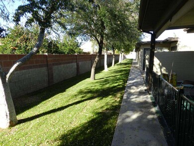 BACK YARD