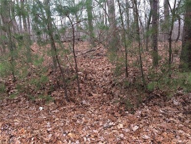 0 Rosemont Rd unit 961174, Asheboro, NC 27203 - photo 4