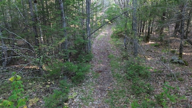 M6L43 Biscay Rd, Medomak, ME 04551 - photo 2
