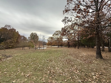 3924 Highway 117, Powhatan, AR 72458 - photo 6