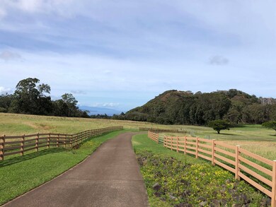 325 Waiahiwi Rd, Makawao, HI 96768 - photo 2