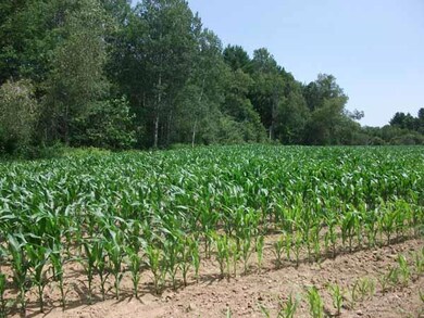 000000 Griffin Rd, Levant, ME 04345 - photo 6