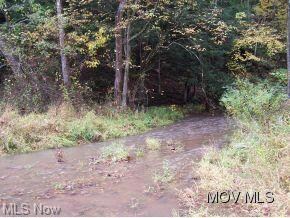 Stream in front of property